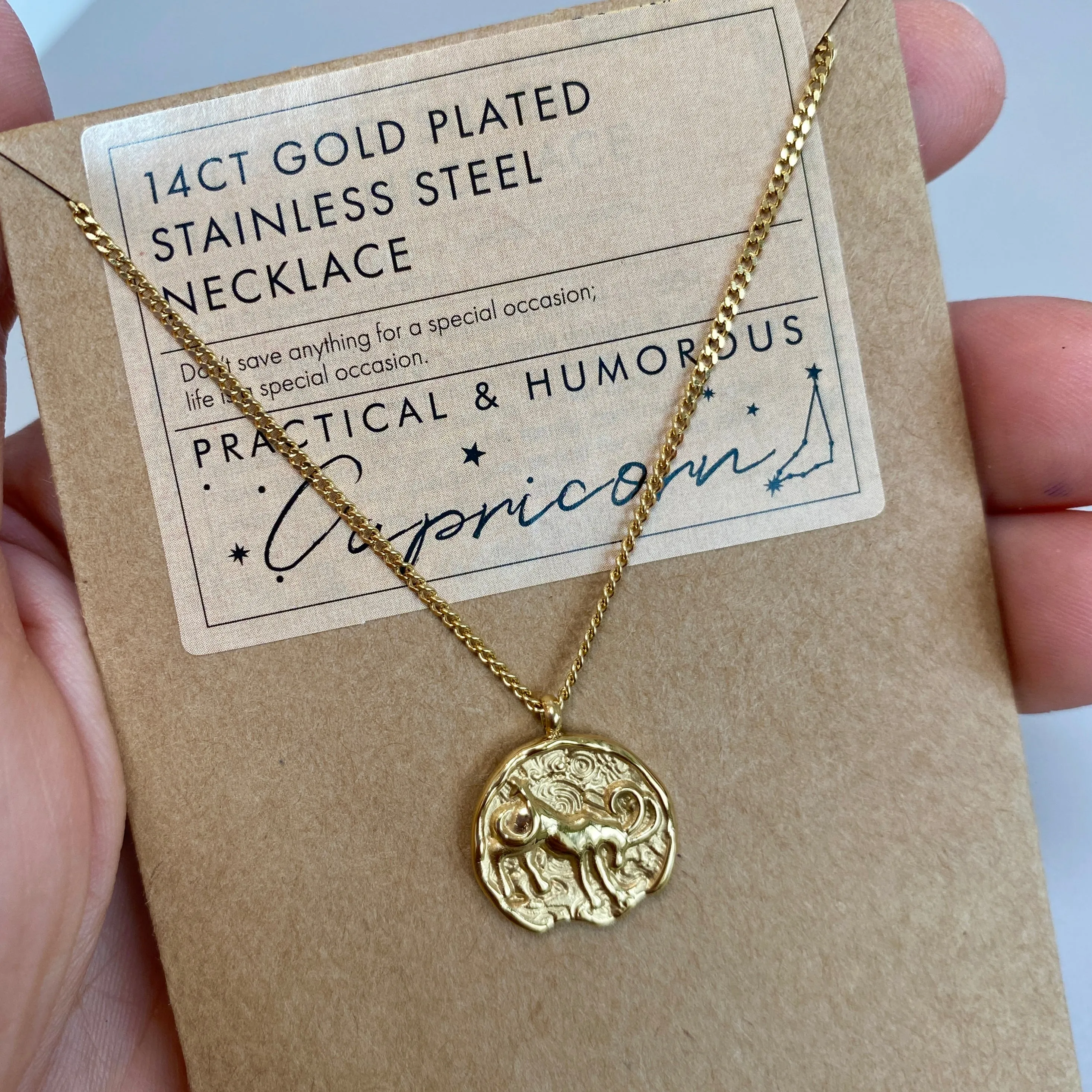 Capricorn Star Sign Gold Pendant Necklace