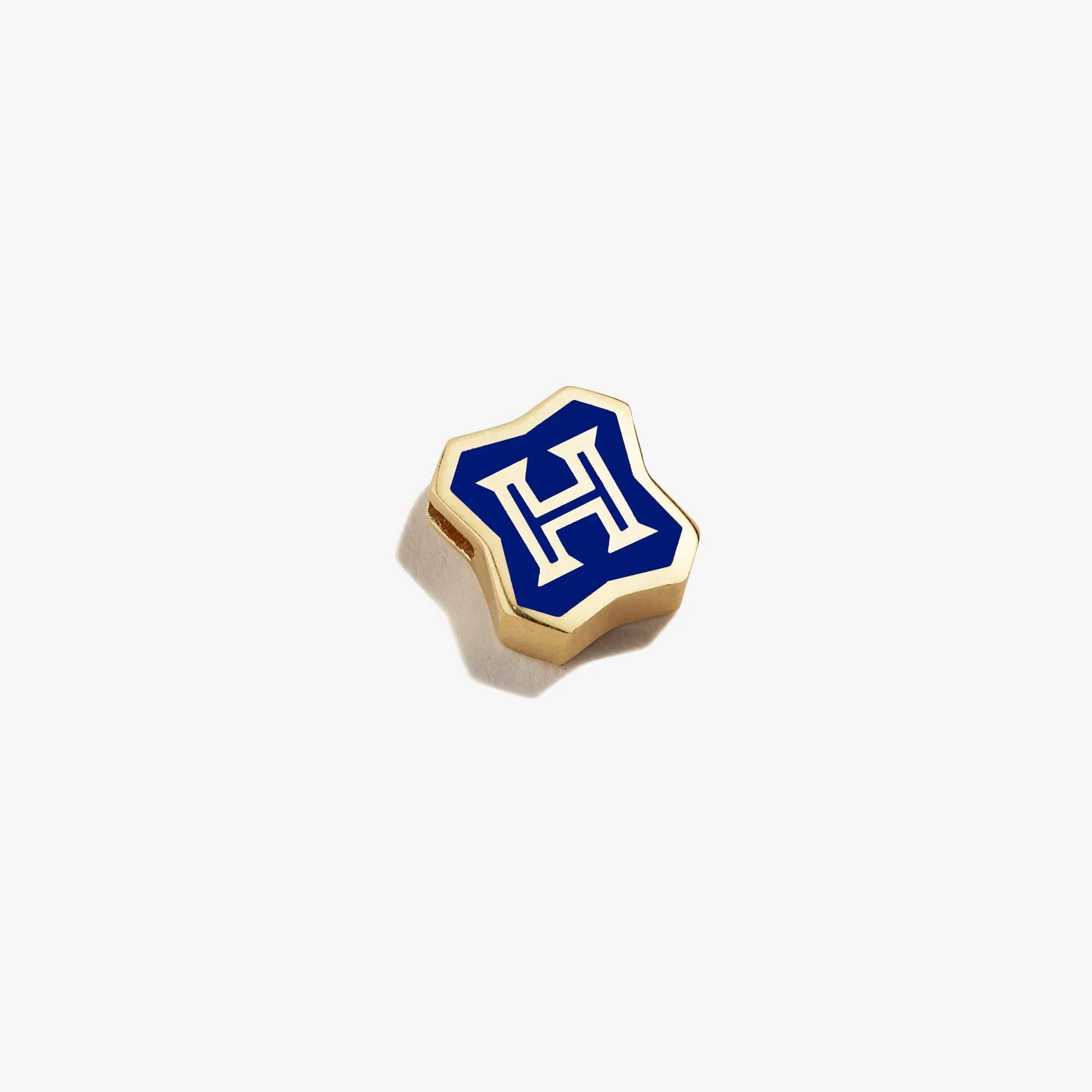 HARRY POTTER Hogwarts Slider Charm