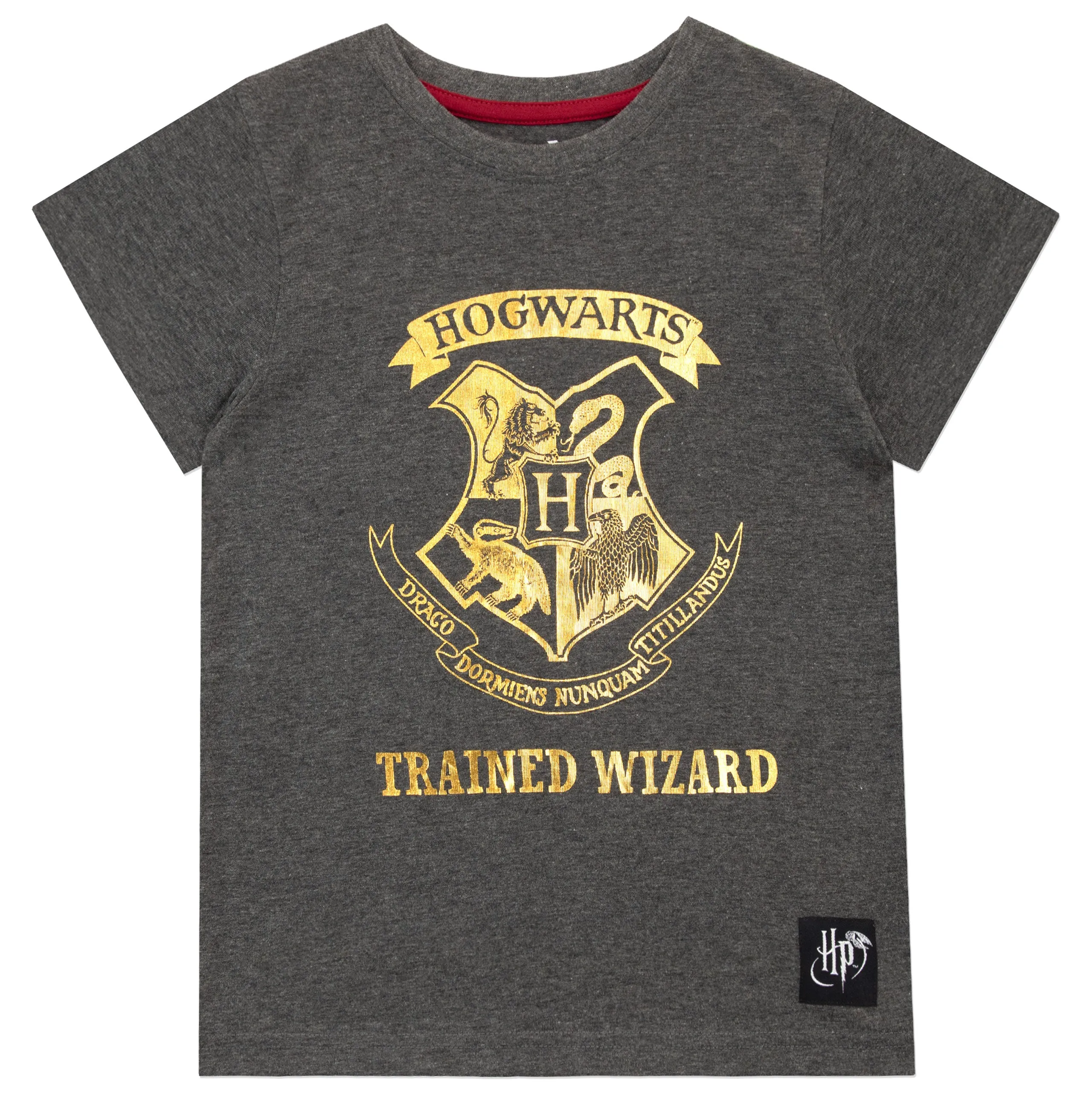 Harry Potter T-Shirt Pack of 2