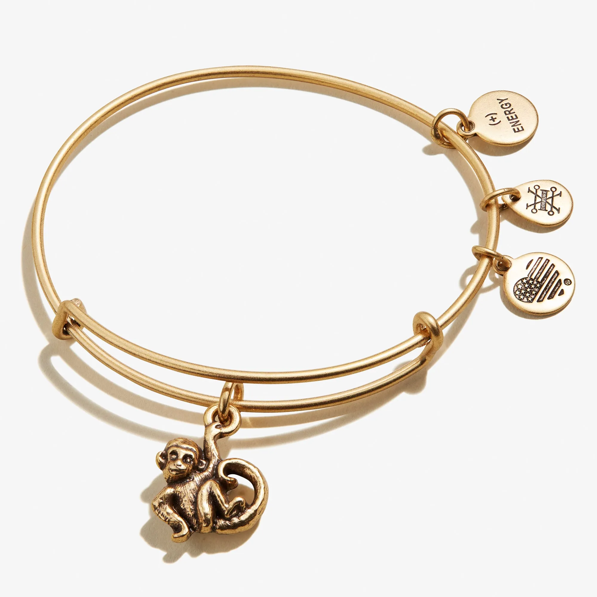 Monkey Charm Bangle