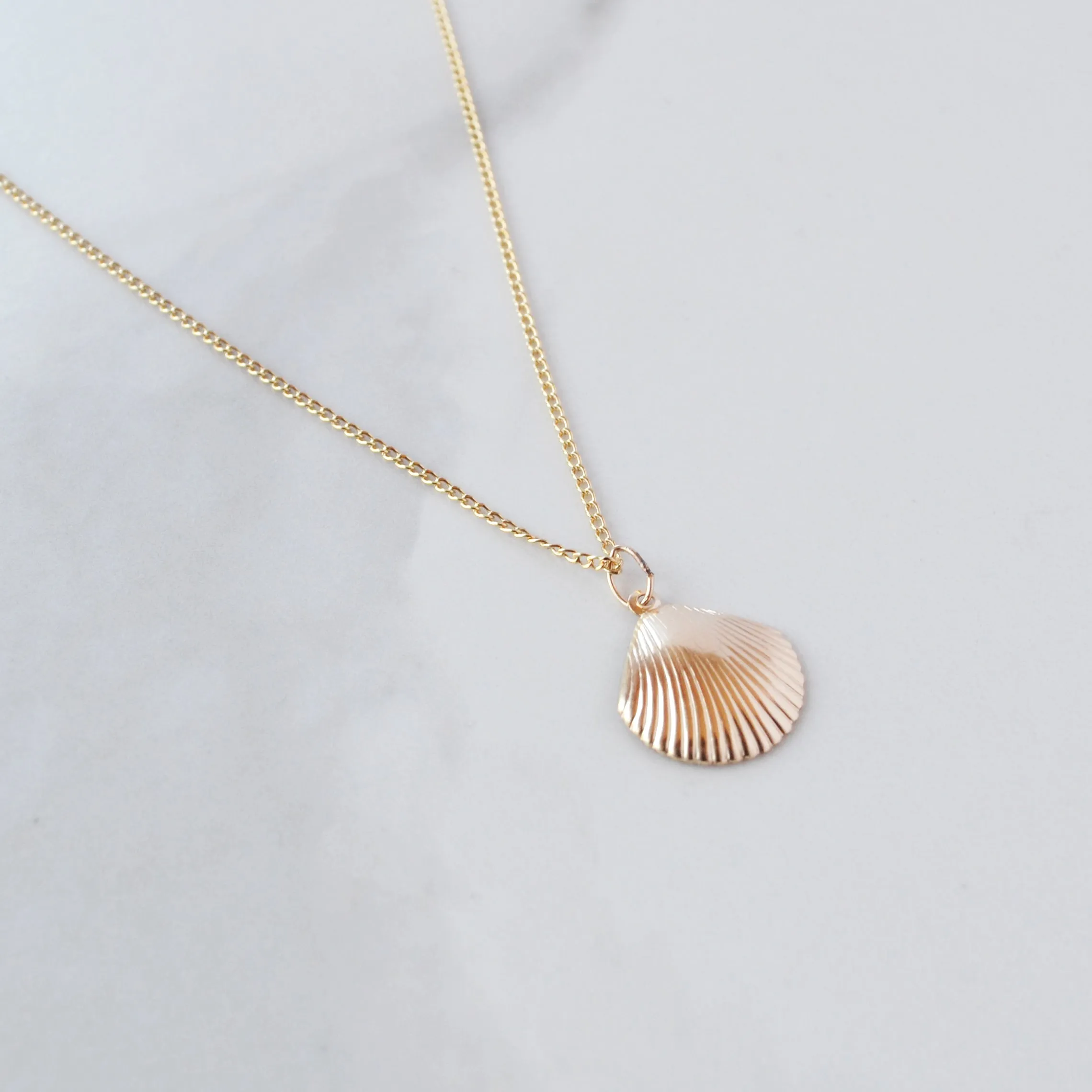 Seashell Necklace