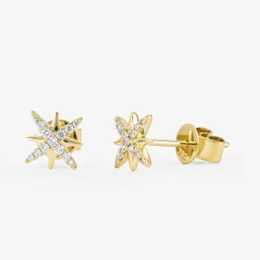 Star Earrings